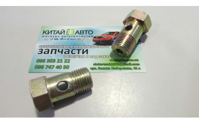 Болт трубки гідропідсилювача (штуцер) Chery Amylet A11 (1.5, 1.6), Chery Amylet A15