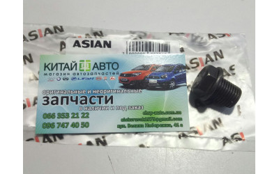 Пробка зливна піддону (480E) (ASIAN Китай) Chery Amulet (1.6,до 2010р.), Chery Karry (A18,1.6)