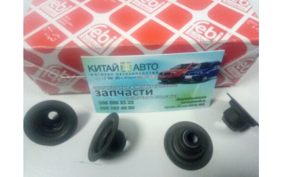 Сальник клапана (Febi Германия) Chery Amulet (1.6,до 2010г.), Chery Karry (A18,1.6)