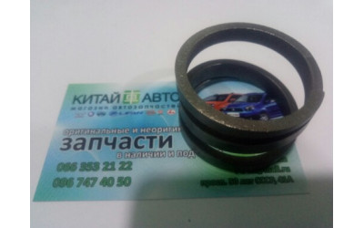 Пружина дифференциала Chery Amylet A11, Amylet  A15 (1.6)