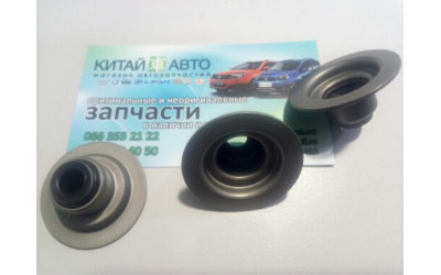 Сальник клапана (ELRING Германия) Chery Amulet (1.6,до 2010г.), Chery Karry (A18,1.6)