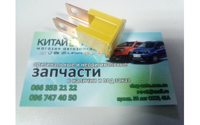 Предохранитель (папа) (оригинал) 60 А  Chery Amylet A11