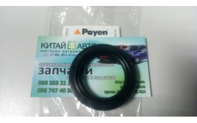 Сальник распредвала (Payen Бельгия) Chery Eastar B11, Chery Cross Eastar B14, Chery Tiggo T11 (2.0, 2.4, 2010г.), Great Wall Haval H3, Haval H5, Great Wall Hover, ZX Landmark
