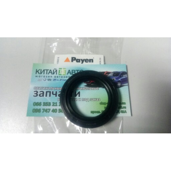 Сальник распредвала (Payen Бельгия) Chery Eastar B11, Chery Cross Eastar B14, Chery Tiggo T11 (2.0, 2.4, 2010г.), Great Wall Haval H3, Haval H5, Great Wall Hover, ZX Landmark