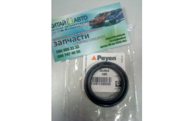 Сальник распредвала (Payen Бельгия) (479Q*, 481Q) Geely CK1 (до 2009г.), Geely CK1F (с 2011г.), Geely CK2, Geely GC6 (LG-4), Geely LC (GC2), Geely LC Cross (GX2), Geely MK Cross, Geely MK1 (1.6, до 2010г.), Geely MK2 (1.5, с 2010г.)