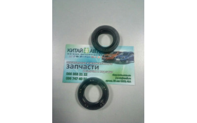 Сальник первичного вала KПП (21,9*40*8) Chery Amulet (1.6,до 2010г.), Chery Karry (A18,1.6)