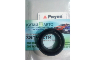 Сальник свечного колодца (Payen Бельгия) Chery QQ S11 (1.1)