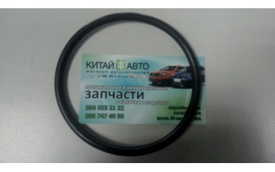 Прокладка уплотнитель топливного насоса Chery Tiggo T11 (2.0, до 2010г.), Chery Tiggo T11 (2.4, до 2010г.,AT), Chery Tiggo T11 (2.4, до 2010г.,MT)