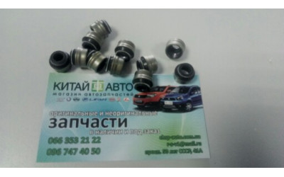 Сальник клапана Chery A13, Forza (HB), Chery A13, Forza (Sedan), Chery Amulet FL (1.5,с 2012г.), Chery Beat S18 (1.3), Chery E5 (1.5, A21FL), Chery Eastar B11 (2.0,  ACTECO), Chery Elara A21 (2.0), Chery Elara A21 (до 2011г, 1.5), Chery Jaggi S21 (1.3), C